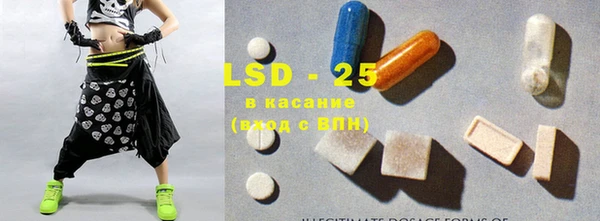 ПСИЛОЦИБИНОВЫЕ ГРИБЫ Арсеньев