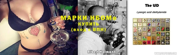 ПСИЛОЦИБИНОВЫЕ ГРИБЫ Арсеньев