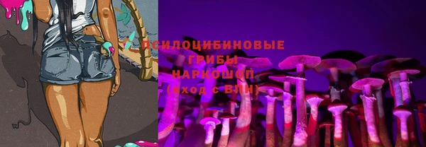 spice Алзамай