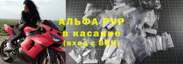 ПСИЛОЦИБИНОВЫЕ ГРИБЫ Арсеньев