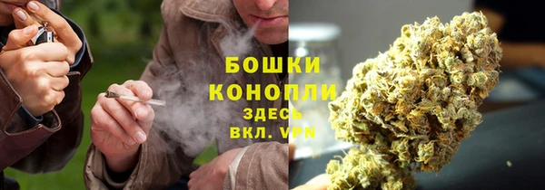 ПСИЛОЦИБИНОВЫЕ ГРИБЫ Арсеньев