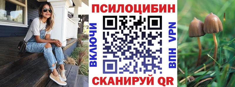 купить наркотики сайты  hydra ONION  Галлюциногенные грибы Magic Shrooms  Усть-Илимск 